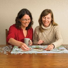 Cobble Hill Puzzle Zimski zbor XL 275 kosov