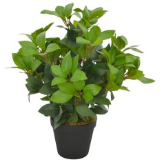 Vidaxl Umetna rastlina lovorovo drevo z loncem zelena 40 cm