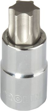 slomart Bitna nastavka Proline 1/2'' T55 Torx, 55mm