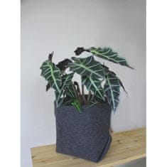 Bertoni BERTONI EE Prevleka za cvetlične lonce Simple XXL - 30 cm