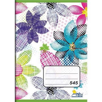 Notes Šolski zvezek 545 Teenage Mix 1 kos