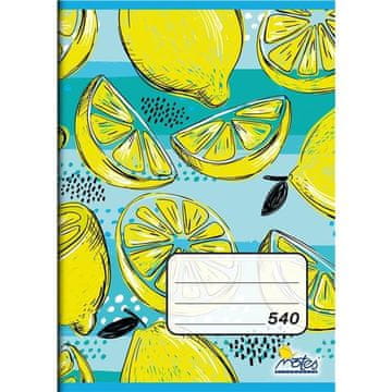 Notes Zapisnik št. 540, A5, 40 listov, prazen