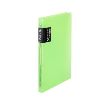 Karton P+P Štiriokotni spenjač Opaline - A4, 2 cm, zelene barve