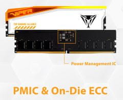 Patriot Viper Elite 5 TUF/DDR5/48GB/6000MHz/CL36/2x24GB/RGB/White