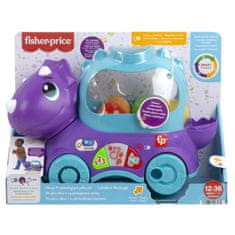 Fisher-Price Fisher Price IGRALNI DINO Z ISKALNIMI ŽOGAMI