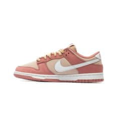 Nike Čevlji 43 EU Dunk Low Retro Prm
