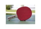 Lopar za namizni tenis CHAMPS LINE 150 FSC D-419
