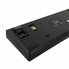 White Shark tipkovnica USB črna mehanska brezžična SLO gaming GK-003112 KAIKEN-HR