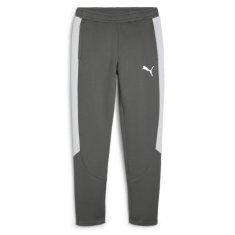 Puma Hlače siva 176 - 181 cm/M Evostripe