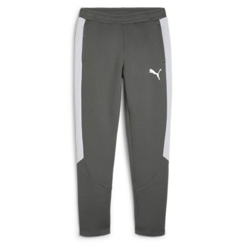 Puma Hlače siva Evostripe
