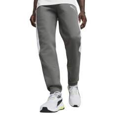 Puma Hlače siva 176 - 181 cm/M Evostripe