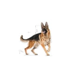 Royal Canin ROYAL CANIN BHN Nemški ovčar Adult suha hrana za pse - 11kg