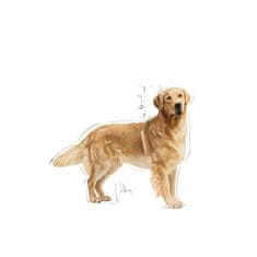 Royal Canin ROYAL CANIN BHN Golden Retriever suha hrana za pse - 12kg