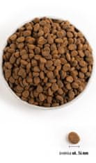 Orijen Orijen Regional Red 2 kg govedina, jagnjetina, svinjina