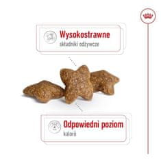 Royal Canin ROYAL CANIN Adult Mini S - suha hrana za pse - 8kg
