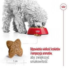 Royal Canin ROYAL CANIN Adult Mini S - suha hrana za pse - 8kg