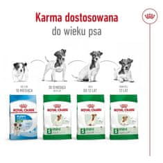 Royal Canin ROYAL CANIN Adult Mini S - suha hrana za pse - 8kg