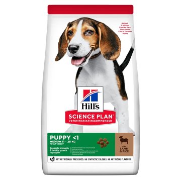 Hill's Hill's 52742025735 dogs suha hrana 14 kg Puppy Lamb, Rice