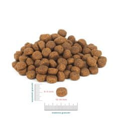 Perro PERRO Teletina s sladkim krompirjem Srednje in velike pasme - suha hrana za pse - 12kg