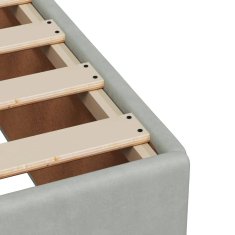 Vidaxl Box spring postelja z vzmetnico svetlo siva 120x200 cm žamet