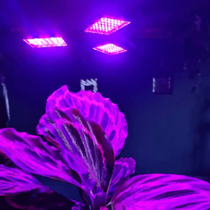 Gardlov 20440 108 LED lampa za rast rastlin