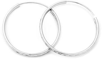 Beneto Neverjetni srebrni okrogli uhani AGUC2103 / 50 / N