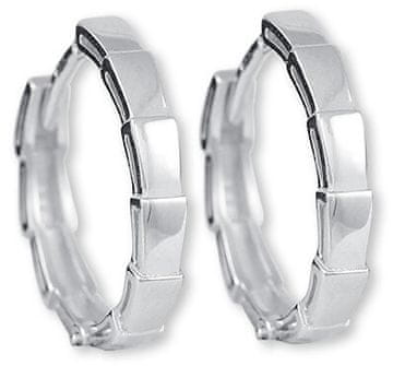 Brezčasni srebrni uhani 431 001 02818 04