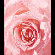 Nivea Rose Touch (Waterproof Eye Make-Up Remover) 100 ml