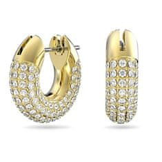Swarovski Elegantni pozlačeni obročasti uhani Dexter 5636530