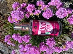 Purity Vision Bio rožna voda (Neto kolièina 200 ml)
