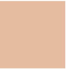 Dermacol Večnamenski natančni korektor (Make-Up Perfector) 1,5 g (Odtenek 03)
