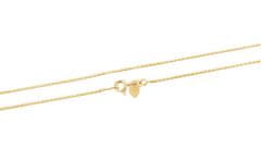 Beneto Exclusive Pozlačena srebrna veriga Anker AGS1286-GOLD (Dolžina 45 cm)