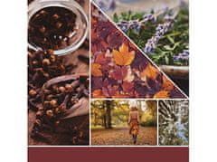 Yankee Candle Aroma sveča Signature glass medium Autumn Daydream 368 g
