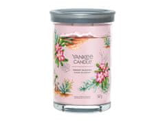 Yankee Candle Aromatična sveča Signature tumbler velika Desert Blooms 567 g