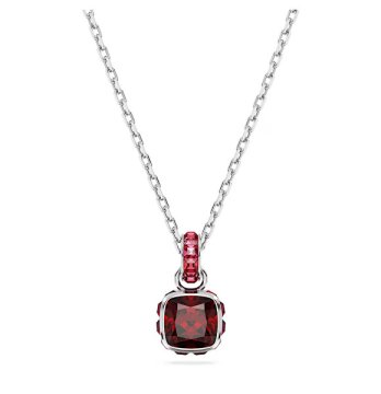 Swarovski Primerna ogrlica za ženske rojene januarja Birthstone 5651709
