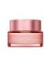 Multi-aktivna dnevna krema za vse tipe kože SPF 15 Multi-Active (Multi-Active Jour) 50 ml