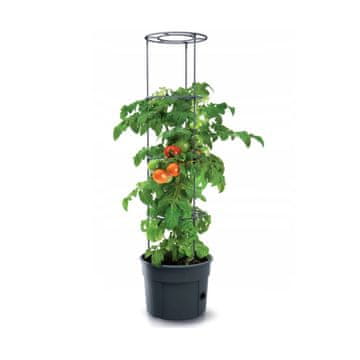 slomart Doniczka za paradižnik Prosperplast Tomato Grower IPOM400, antracit