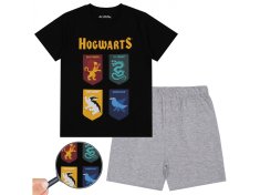 sarcia.eu Harry Potter Fantovska pižama s kratkimi rokavi, črno-siva poletna pižama 9 lat 134 cm