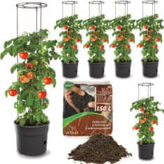 botle 6x lonec Paradižnik Jagode Fižol Kumare 39,2cm+ Zemlja, univerzalni substrat 150L