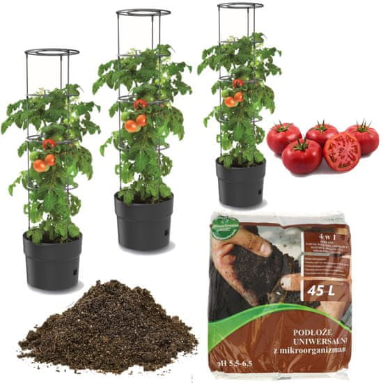 botle 3x Lonec Paradižnik jagode fižol kumare 35cm + zemlja, univerzalni substrat 45L