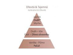 Maison Berger Paris Polnilo/dodatna polnila za difuzor za avto Olive Tree, 2 kosa