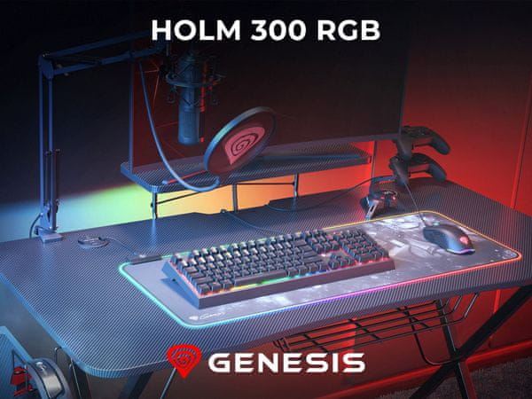 Holm 300 RGB gaming miza
