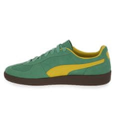 Puma Čevlji zelena 42 EU Palermo