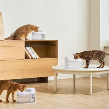  Catlink Pure 3 pametna fontana za vodo, WiFi 