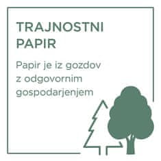 Avery Zweckform papir C2570-100, 180 g, 100 listov, za inkjet tiskalnike, 10 x 15 cm, foto papir, za tiskanje