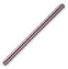 Aristo Trirobno ravnilo blister Merilo 1:2,5 :5 :10 :20 :50 :100
