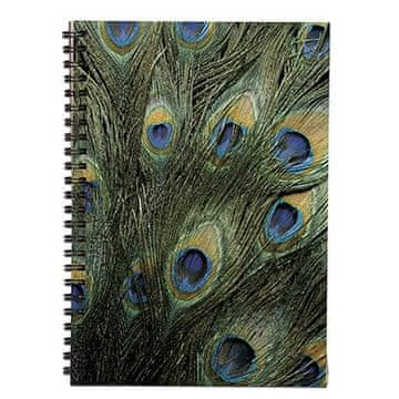 Klipko Zvezek s spiralo A4, črtast, pav