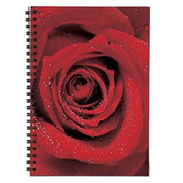 Klipko Zvezek s spiralo A4, črtast, vrtnica