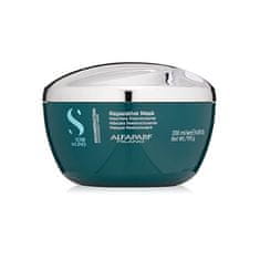 Semi di Lino Reconstruction (Reparative Mask) (Neto kolièina 200 ml)