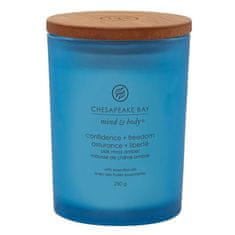 Svíčka Chesapeake Bay Candle střední, Confidence & Freedom, Sebejistota a svoboda, levandule a mech, 250 g